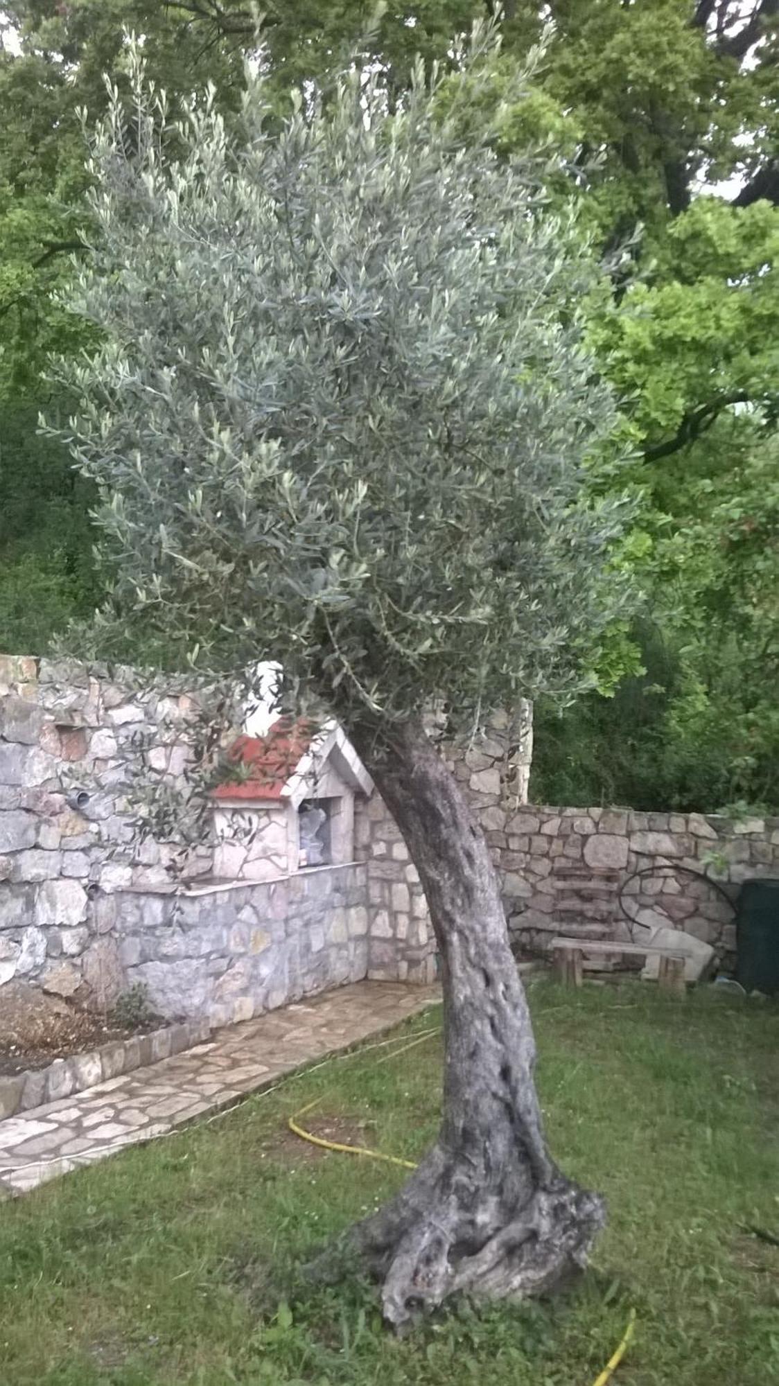 House Stijepovic Villa Petrovac ห้อง รูปภาพ